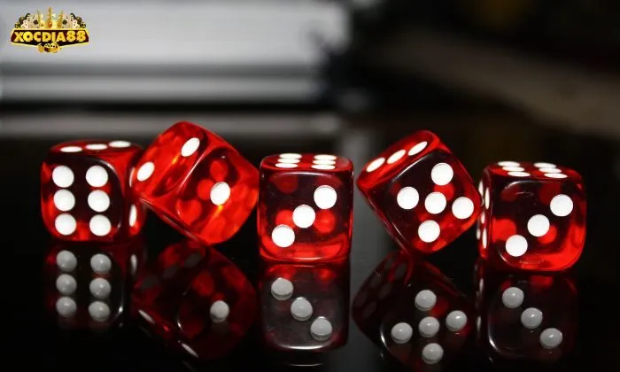 Người chơi có thể phán đoán xu hướng kết quả tiếp theo để đặt cược hợp lý