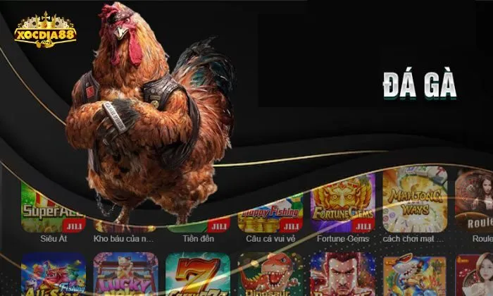 Soi kèo qua bảng thành tích của các chiến kê