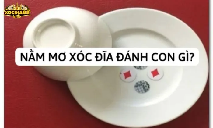 Nằm mơ chơi xóc đĩa ra tứ tử