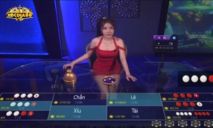 tool dự đoán xóc đĩa Hãy kết hợp tool với kinh nghiệm cá nhân